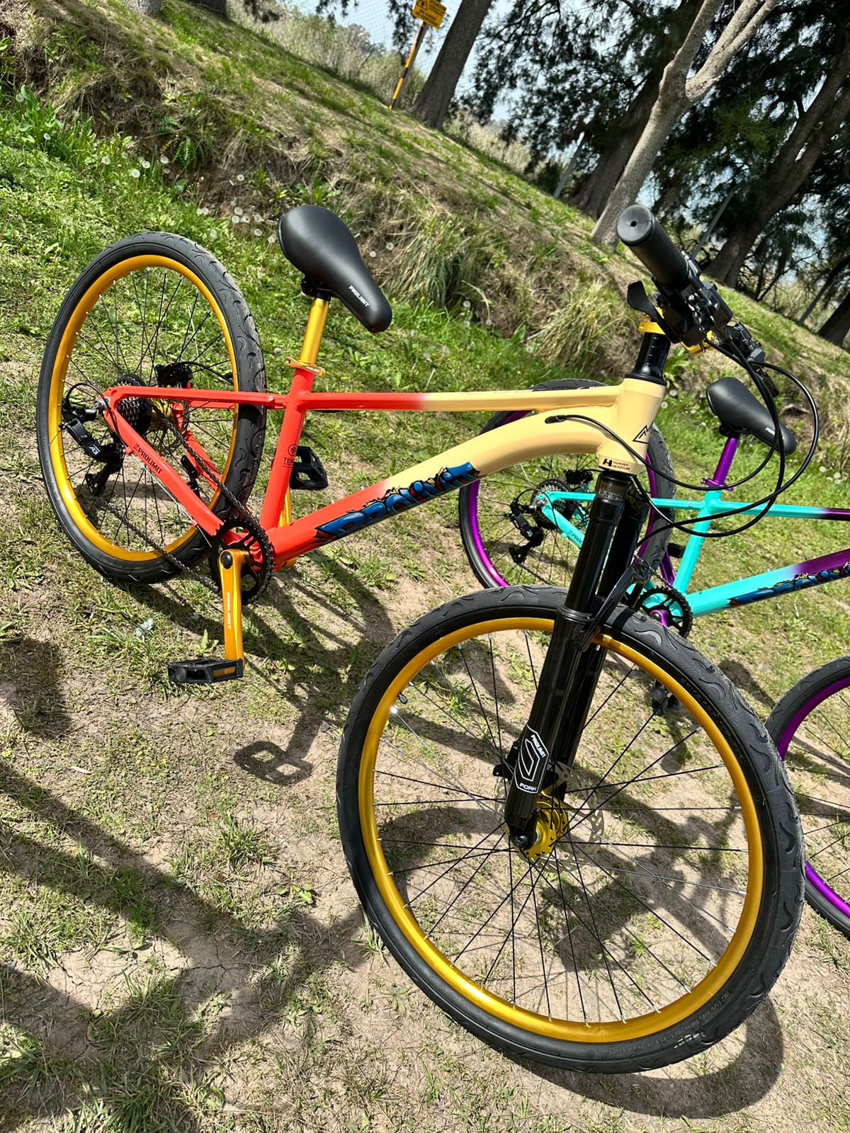 03d95633-be70-4eb4-b306-7560ae5e4a10