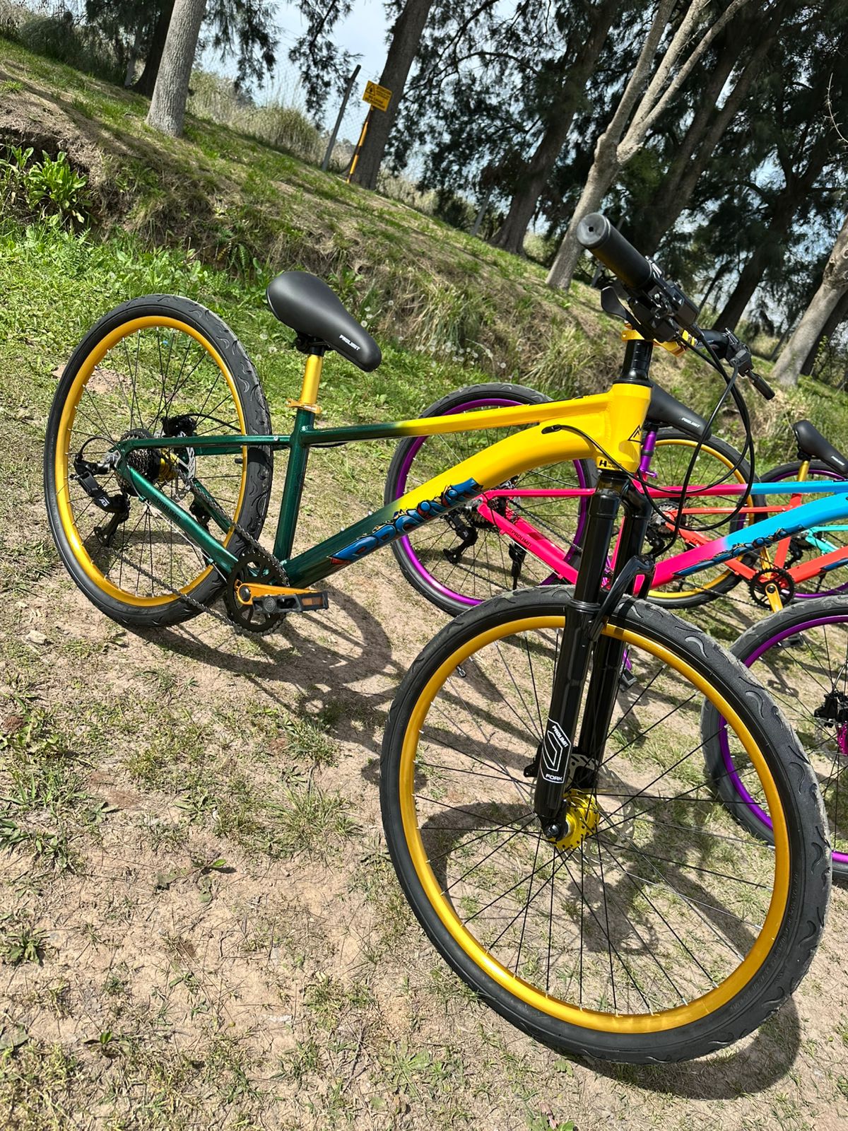 251dde93-00ae-4ccb-8dd8-298f1678fb18