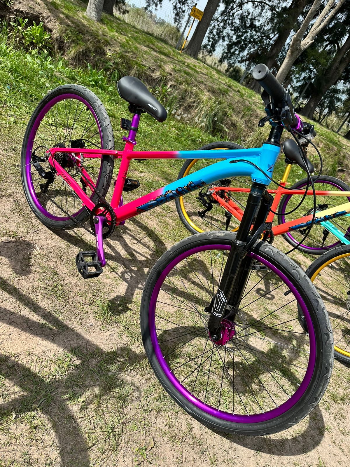 75ebe1d7-6186-4292-95ee-3630b69ede77