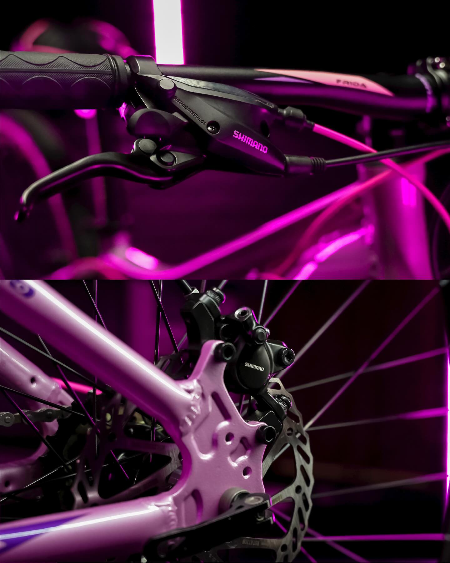 WhatsApp Image 2025-09-27 at 11.22.55 AM (1)