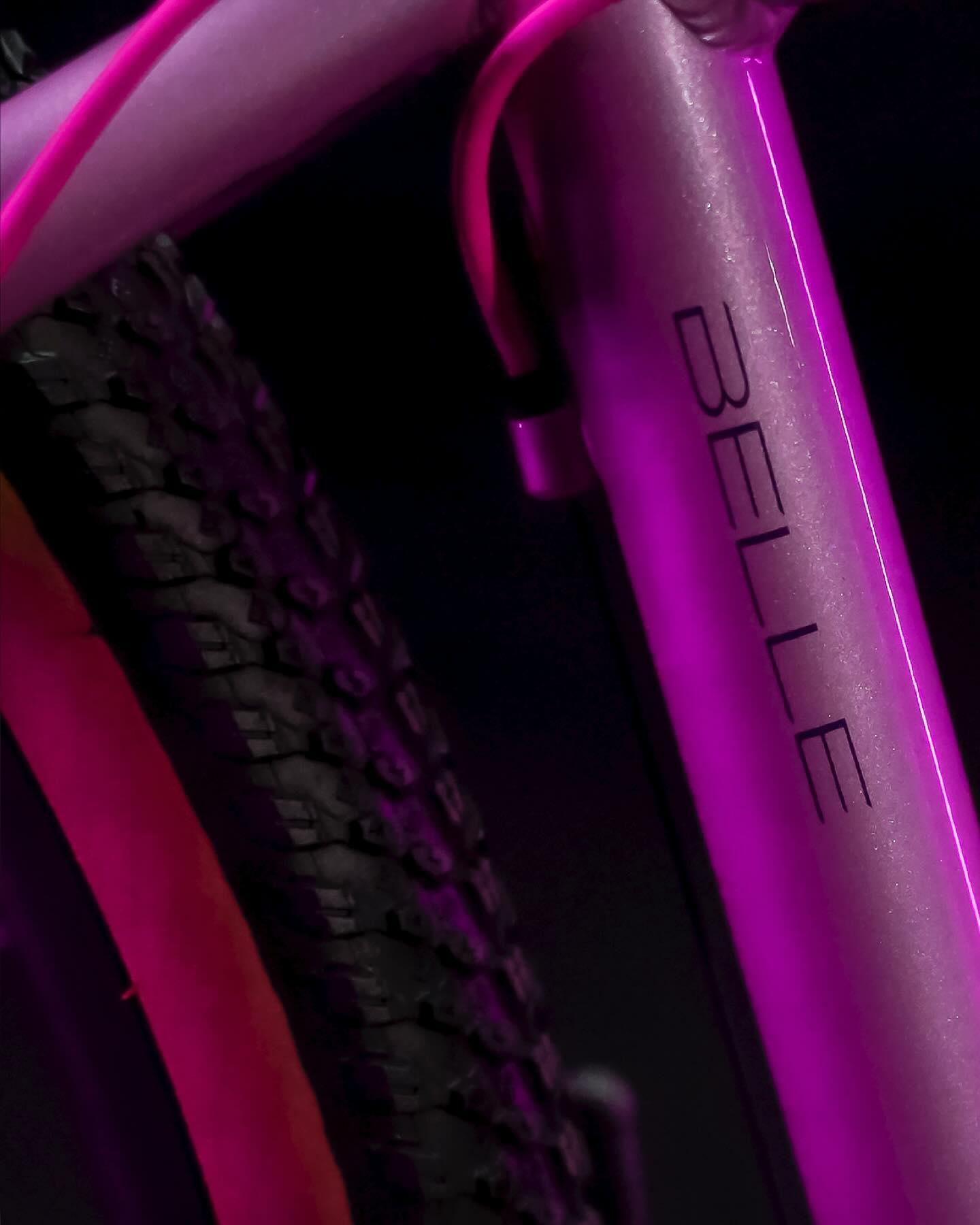 WhatsApp Image 2025-09-27 at 11.22.55 AM